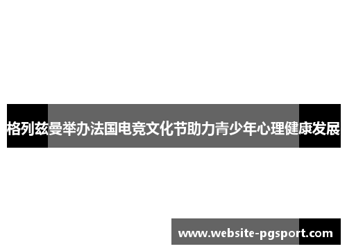 格列兹曼举办法国电竞文化节助力青少年心理健康发展