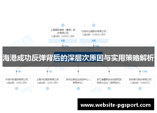 海港成功反弹背后的深层次原因与实用策略解析