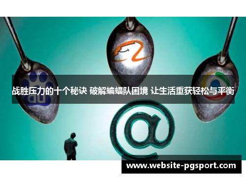战胜压力的十个秘诀 破解蝙蝠队困境 让生活重获轻松与平衡