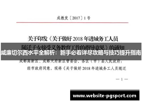 威廉切尔西水平全解析：新手必看详尽攻略与技巧提升指南