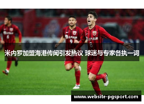 米内罗加盟海港传闻引发热议 球迷与专家各执一词