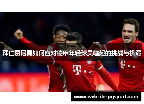 拜仁慕尼黑如何应对德甲年轻球员崛起的挑战与机遇